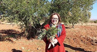 Gaziantep Büyükşehir'den Nizip'e örnek tarımsal destekler