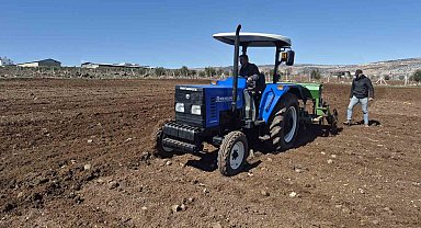 Gaziantep'te nohut ekimi başladı