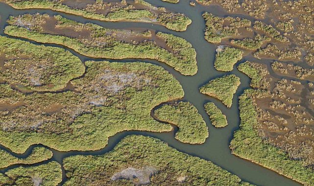 Gediz Nehri mercek altında