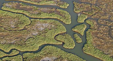 Gediz Nehri mercek altında