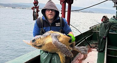 Gelibolu açıklarında ağlara takılan caretta caretta denize geri salındı