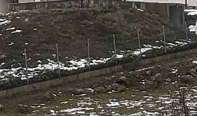 Göç yolculuğundaki leylekler Sakarya'da mola verdi