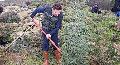 Gökçeada'da fidanlar toprakla buluştu