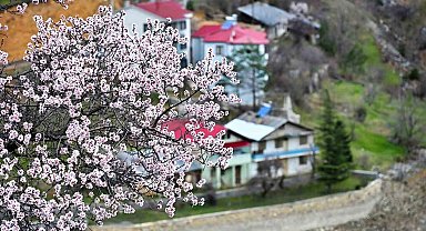 Gümüşhane'de baharın renkleri kışın beyazıyla kucaklaştı