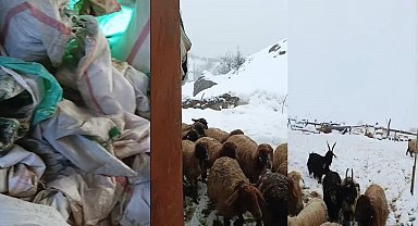 Hakkari'de 1,5 metrelik kar: Çiftçiler çaresiz
