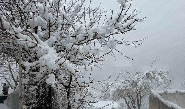 Hakkari'de 82 yerleşim yerinin yolu kapandı
