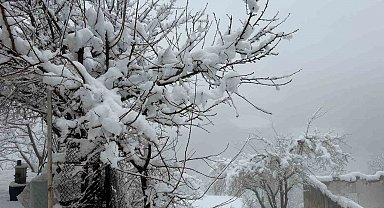 Hakkari'de 82 yerleşim yerinin yolu kapandı