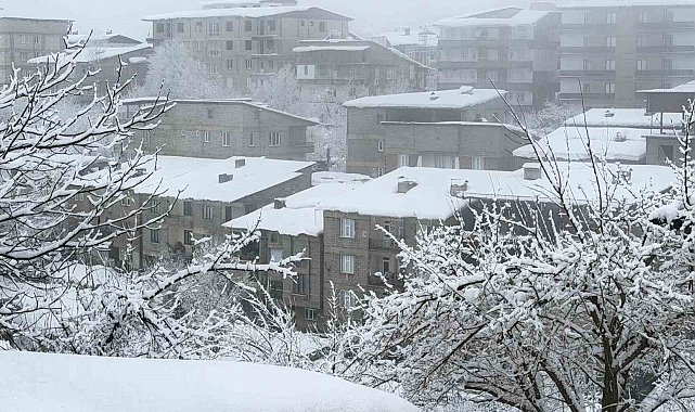 Hakkari'de kar yağışı