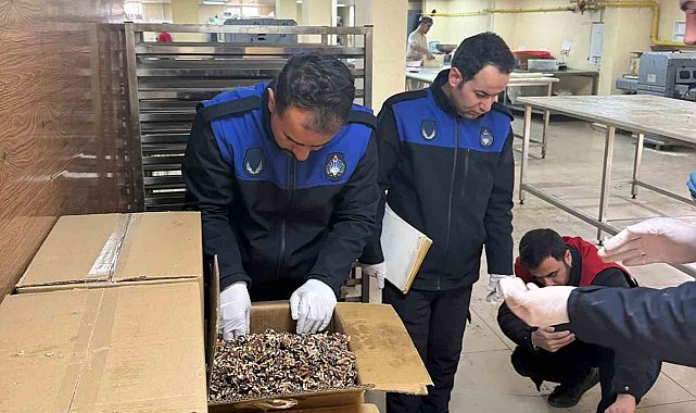 Haliliye'de 180 kilogram küflenmiş ceviz ele geçirildi