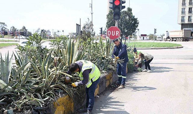 Hatay Büyükşehir Belediyesi bitkide dışa bağımlılığı en aza indirmeyi hedefliyor