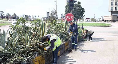 Hatay Büyükşehir Belediyesi bitkide dışa bağımlılığı en aza indirmeyi hedefliyor