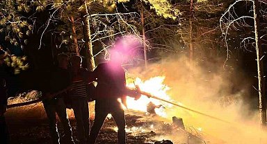 Hatay'da ormanlık alanda çıkan yangın büyümeden söndürüldü