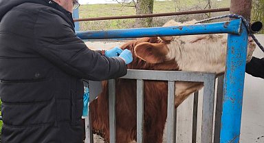 Hayvancılık işletmelerinde sağlık taraması yapıldı