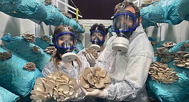 Hobi olarak başladığı mantar yetiştiriciliğinde günde 1 tona yakın hasat elde ediyor