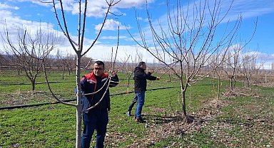 Iğdır'da çiftçilere uygulamalı meyve ağacı budama eğitimi