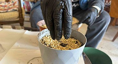 Iğdır'da Nevruz'un simgesi semeniler hazırlanmaya başlandı