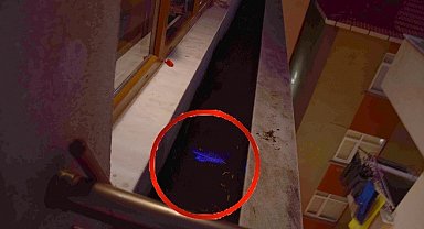 İstanbul'da 2019'daki kayıp dosyasından cinayet çıktı: Eşini öldürüp parçaladı