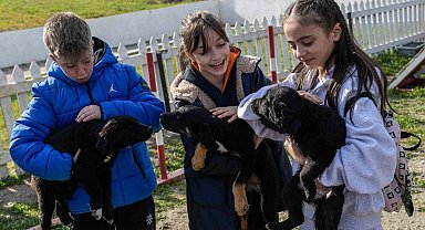 İzmir'de 2 bin 300 patili yuva bekliyor