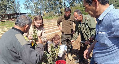 İzmir'in damla sakızı KKTC'de toprakla buluştu