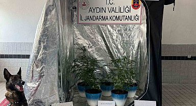 Jandarma narkotik affetmedi