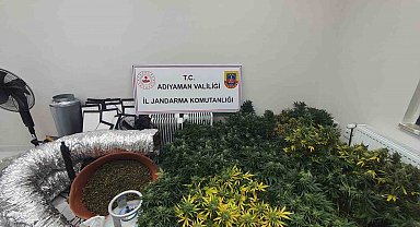 Jandarmadan uyuşturucu operasyonu: 1 gözaltı