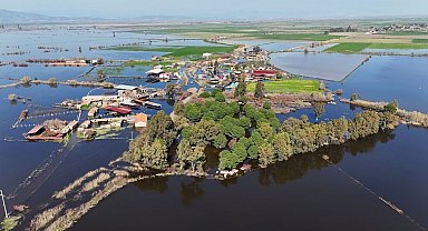 Kalcık Mahallesi, Venedik'e döndü