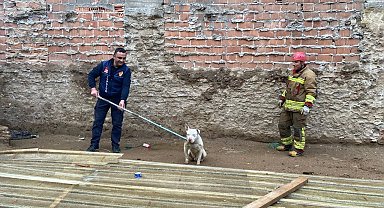 Kapalı inşaat çukuruna düşen köpeği itfaiye kurtardı