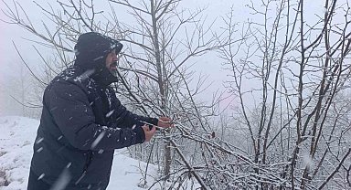 Kar altında kalan fındık bahçeleri, üreticileri tedirgin ediyor
