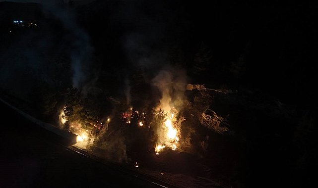 Karabük'te ormanlık alanda çıkan örtü yangını söndürüldü