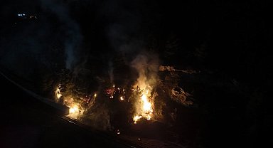Karabük'te ormanlık alanda çıkan örtü yangını söndürüldü