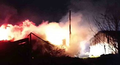 Karabük'te samanlık ve odunluk yangında küle döndü