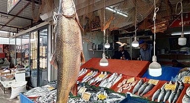 Karakaya Barajı'nda yakalanan 42 kiloluk turna balığı ilgi gördü