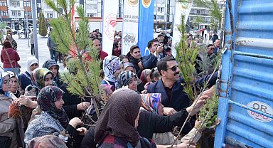 Karapınar'da ağaçlandırma etkinliği