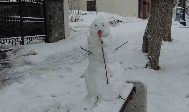 Kars'ta Mart ayında yağan kar, kenti yeniden beyaza bürüdü