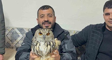 Kars'ta yaralı puhuya şefkat eli