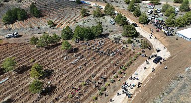 Kastamonu'da 210 bin fidan toprakla buluşturulacak