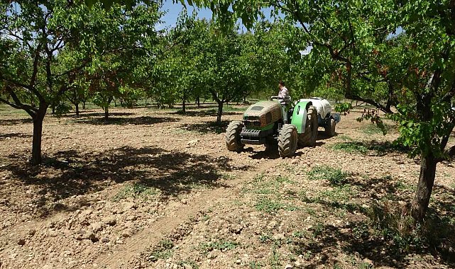 Kayısı üreticilerine manolya hastalığı uyarısı