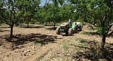 Kayısı üreticilerine manolya hastalığı uyarısı