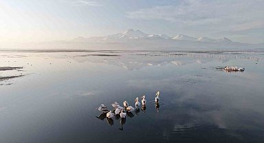 Kayseri'nin ilk pelikanları geldi