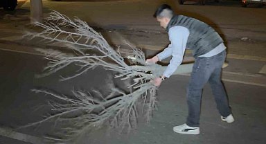 Kaza sonrası cam ve plastik parçalarıyla dolan yolu vatandaş kırılan ağaçla böyle temizledi