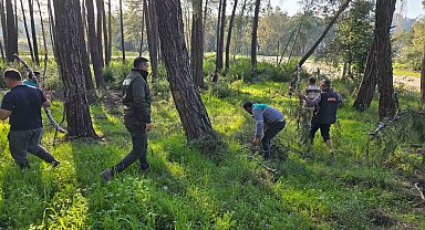 Kesilen basralı dallar arıcılar için ormana bırakıldı