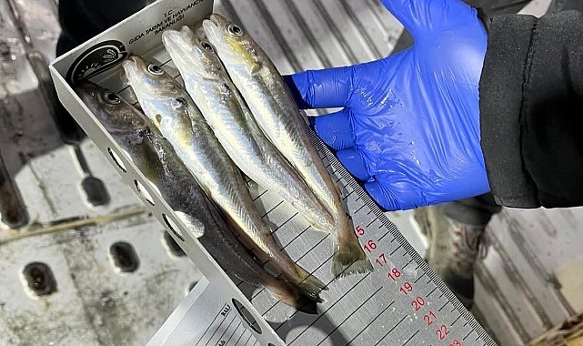 Kırklareli'nde su ürünleri nakil araçlarına sıkı denetim