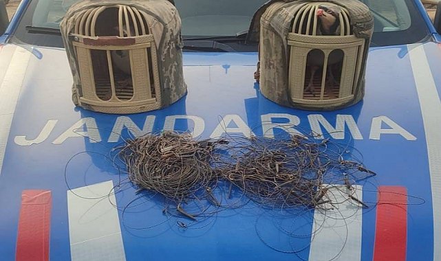 Kırşehir'de kaçak keklik avcıları yakalandı