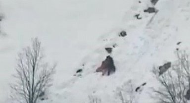 Kış uykusundan uyanan ayıların kar keyfi