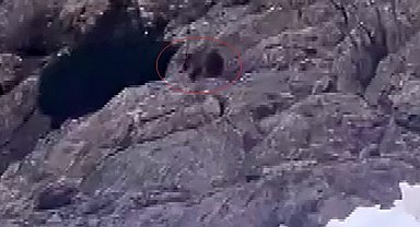 Kış uykusundan uyandı, kar üstünde yiyecek aradı