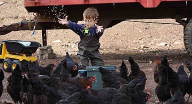 Kocaeli'de çiftçinin yüzünü güldüren destekler rakamlara yansıdı