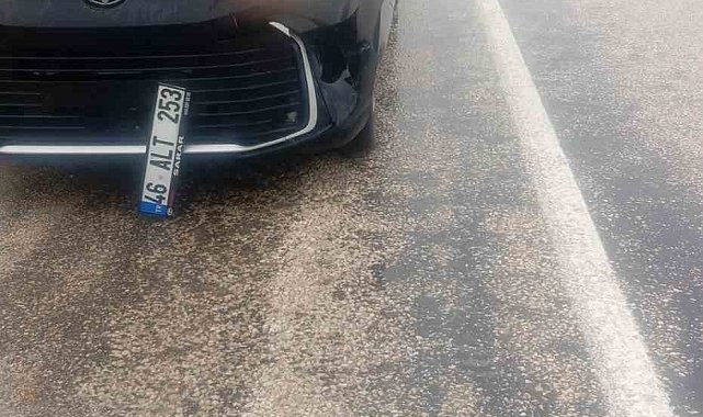 Köpeğe çarpan araç kaza yaptı: maddi hasar oluştu