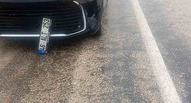 Köpeğe çarpan araç kaza yaptı: maddi hasar oluştu