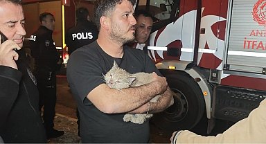 Korkutan yangında mahsur kalan kediyi itfaiye kurtardı