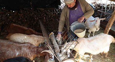 Korkuteli'nde yem ezme ve kırma makinesi üreticiye kolaylık sağlıyor